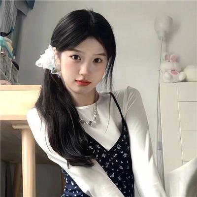 狮子护卫队第一季